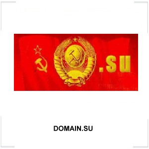 DOMAIN.SU DOMAIN.SU